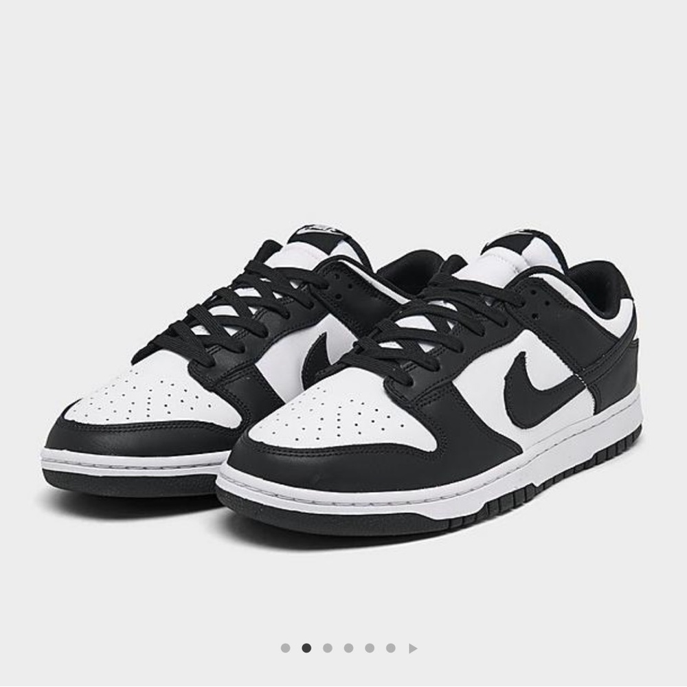 Nike Dunk Low Retro Shoes